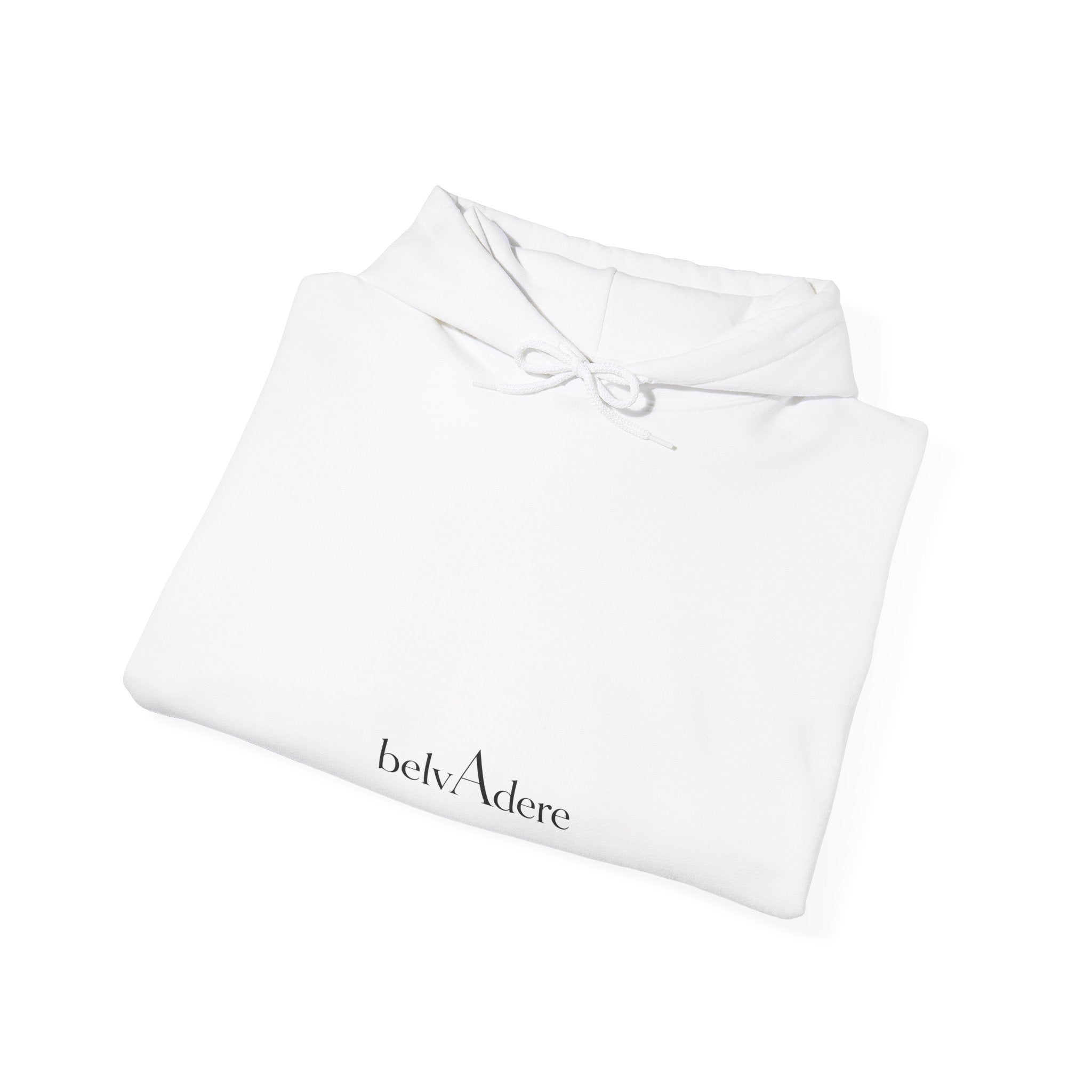 BEWARE OF THE LIONS | — [A!] Hoodie