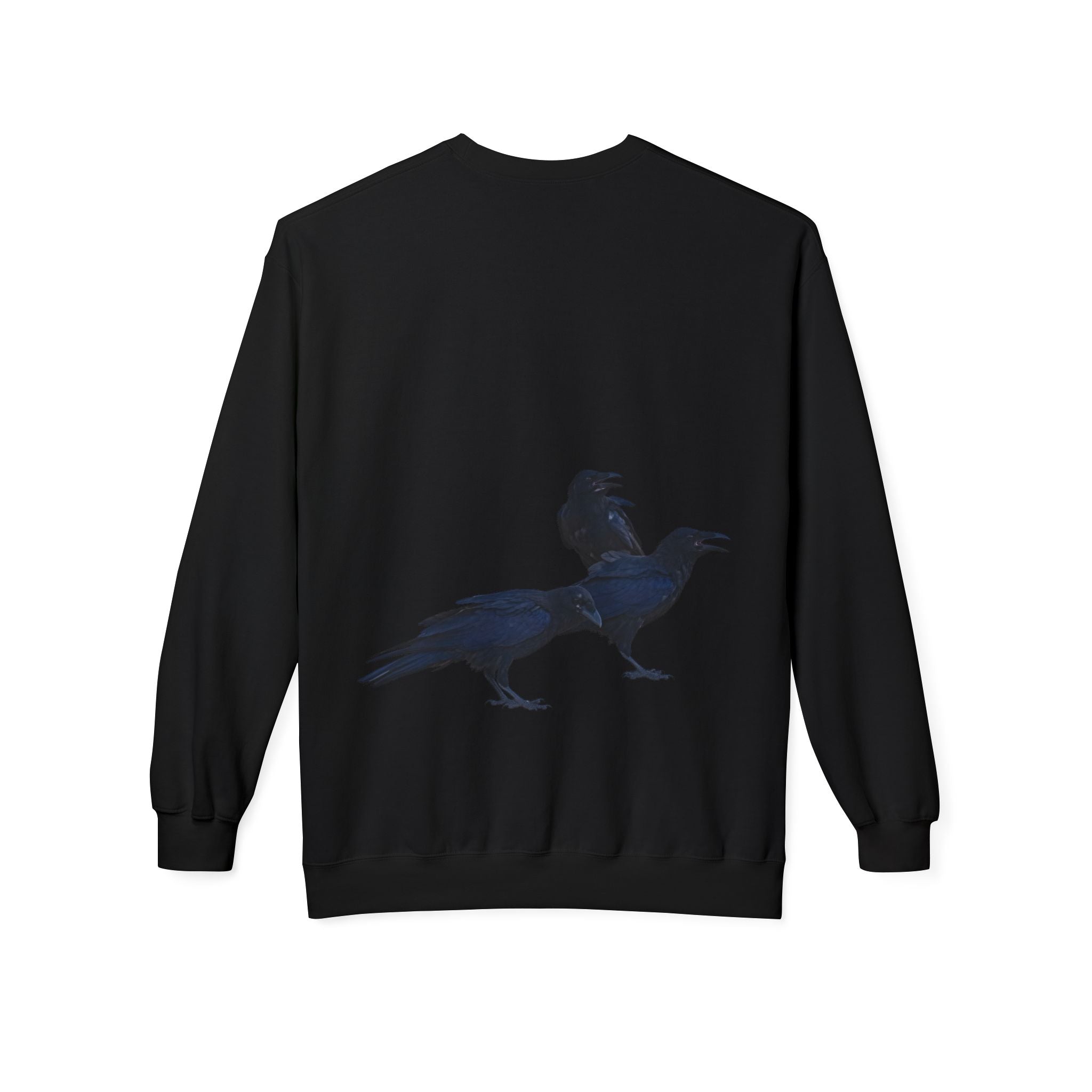 AN, UNKINDNESS OF RAVENS — [A!] Sweatshirt