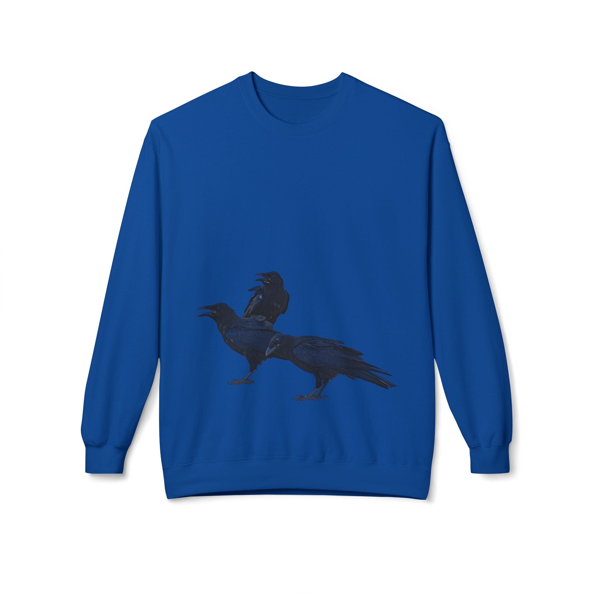 AN, UNKINDNESS OF RAVENS — [A!] Sweatshirt