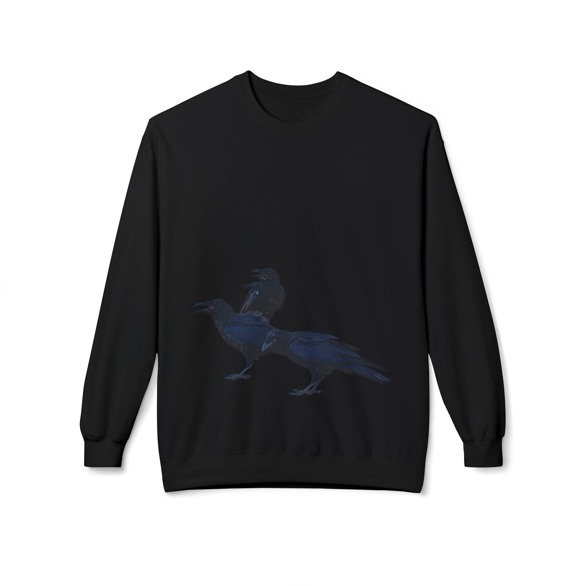AN, UNKINDNESS OF RAVENS — [A!] Sweatshirt